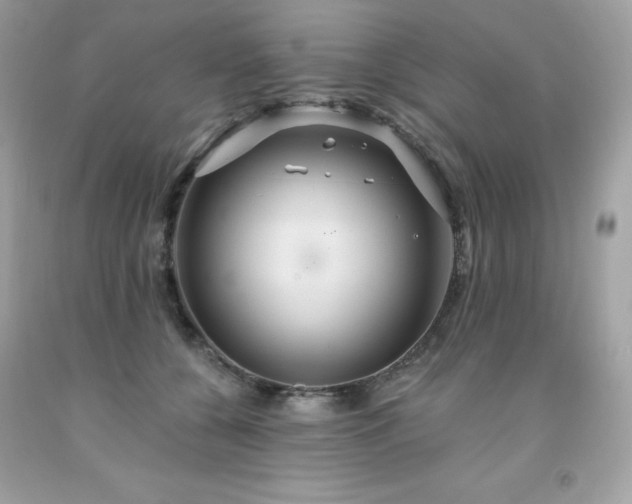 X0000091930560200709121601