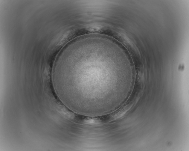 X0000091930561200709121601