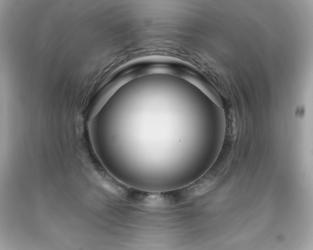 X0000091930562200709121601