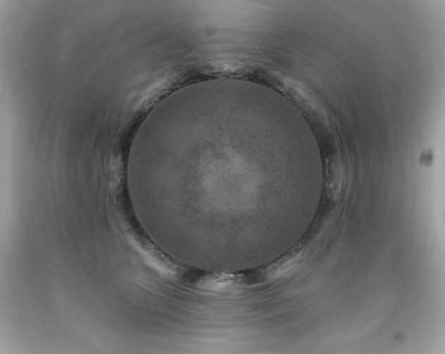 X0000091930563200709121601