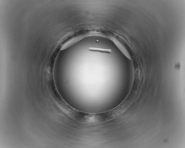 X0000091930564200709121601
