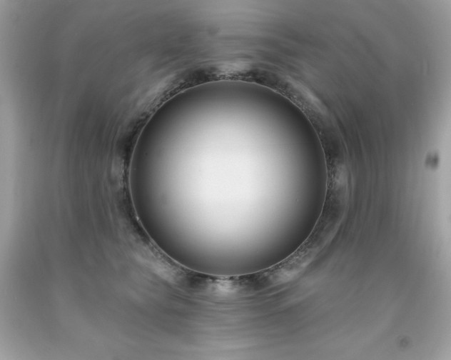 X0000091930565200709121601