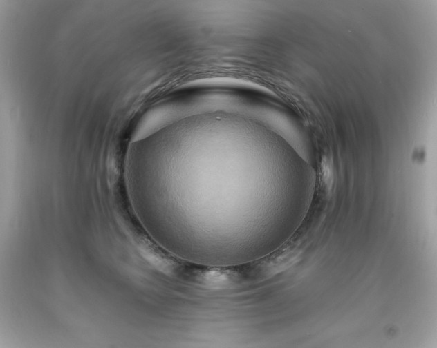 X0000091930566200709121601