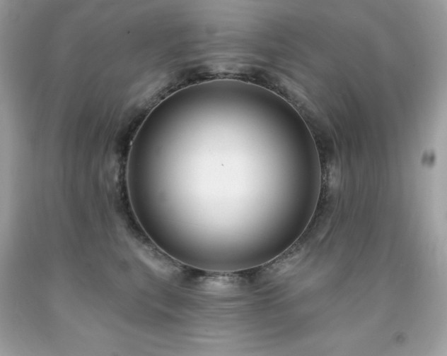 X0000091930567200709121601