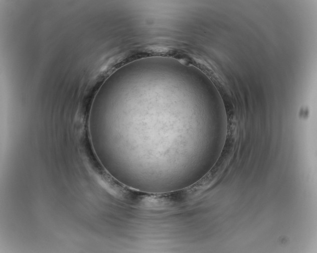X0000091930568200709121601