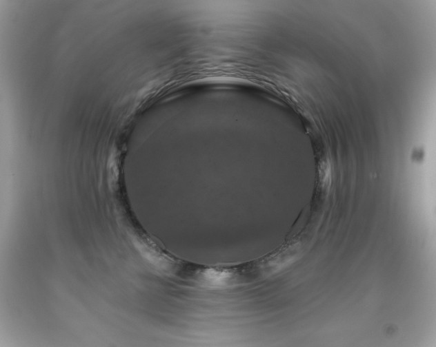 X0000091930570200709121601