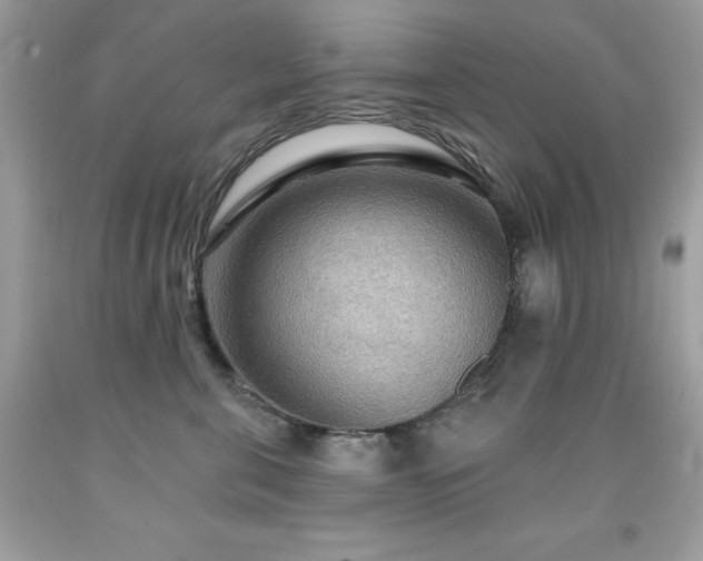 X0000091930571200709121601