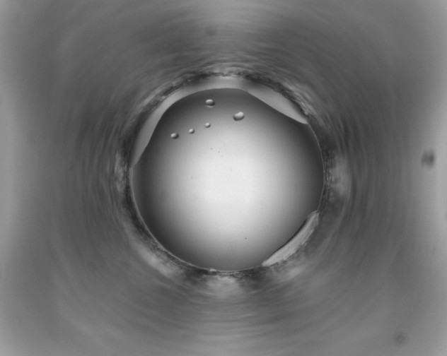 X0000091930572200709121601