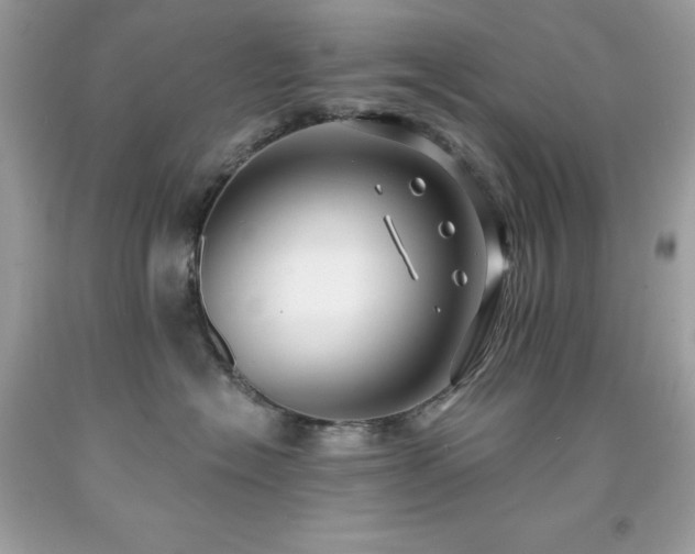 X0000091930574200709121601