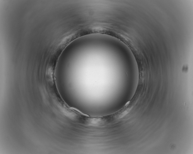 X0000091930575200709121601