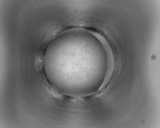 X0000091930576200709121601