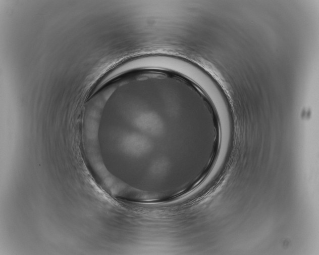 X0000091930577200709121600