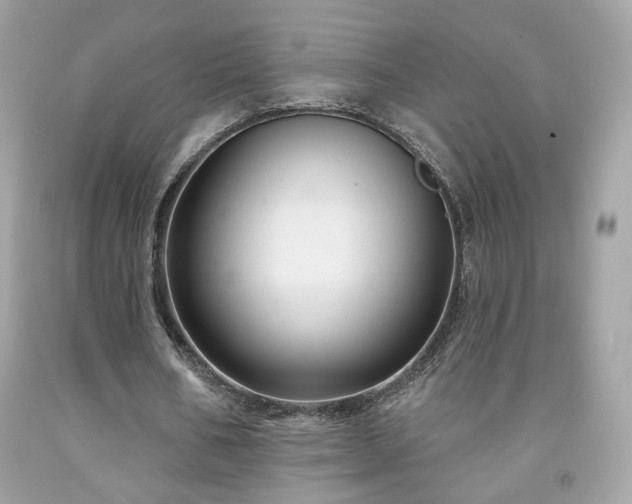 X0000091930578200709121600