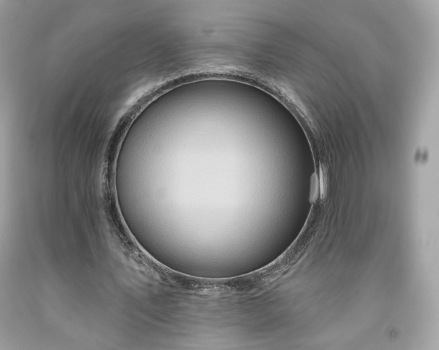 X0000091930579200709121600