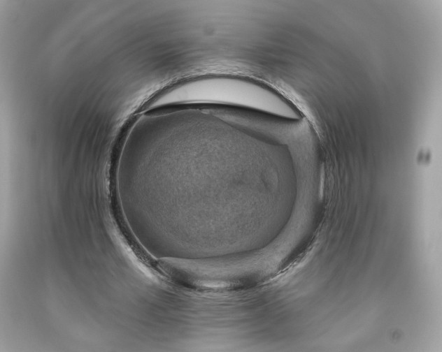 X0000091930581200709121600