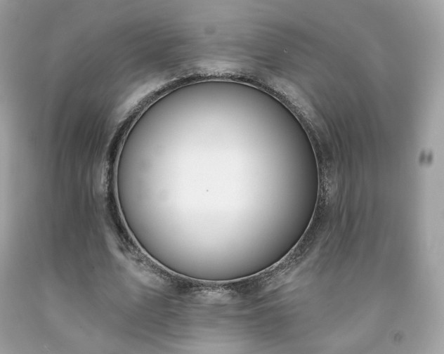 X0000091930583200709121600