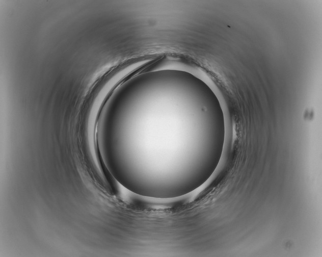 X0000091930587200709121600