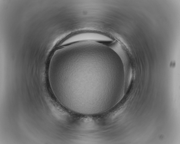 X0000091930588200709121600