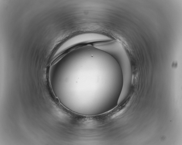 X0000091930589200709121600