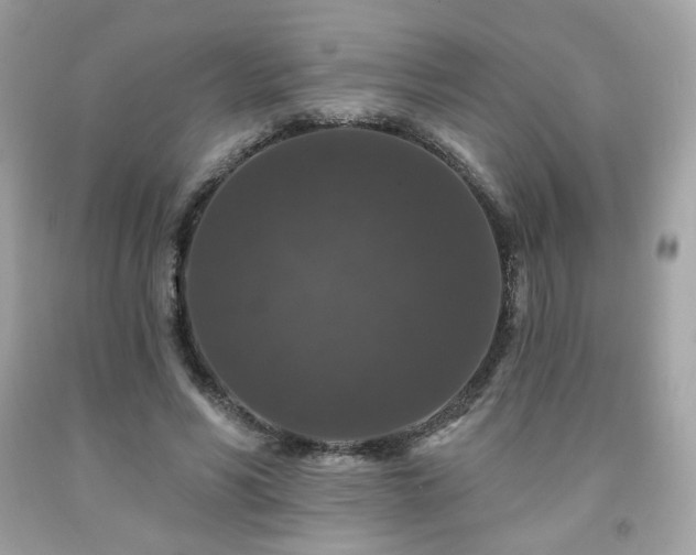 X0000091930590200709121600