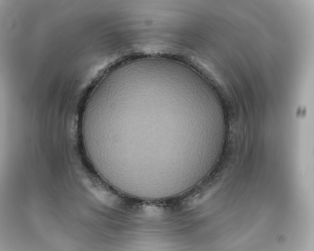 X0000091930592200709121600