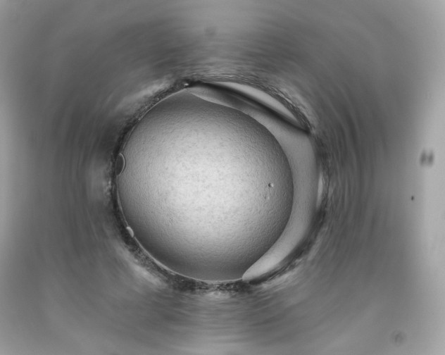 X0000091930593200709121600