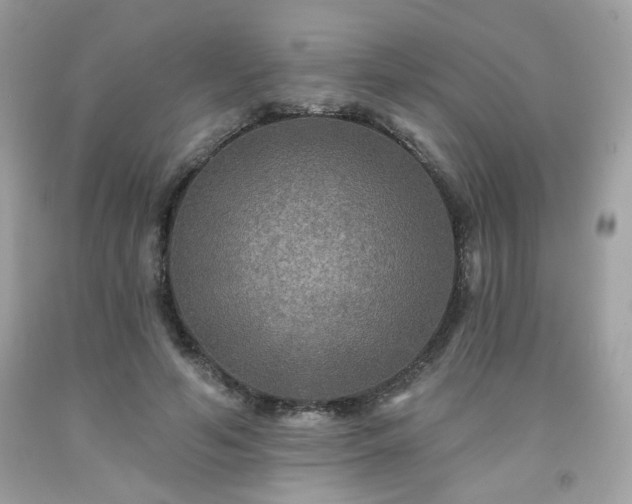 X0000091930594200709121600