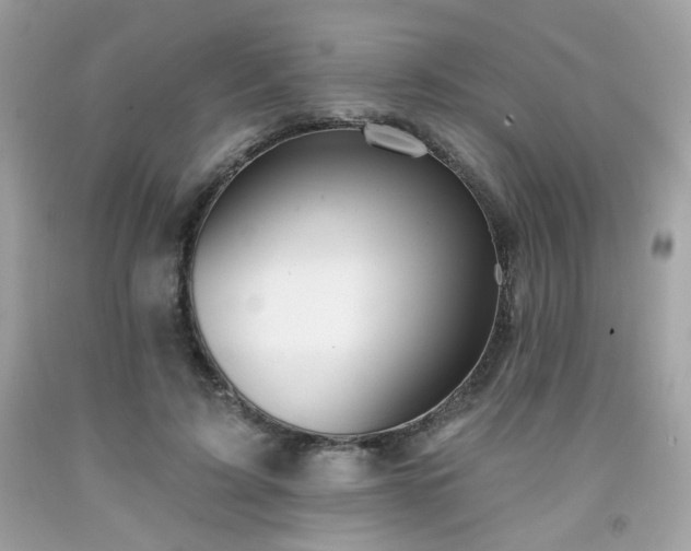 X0000091930595200709121600