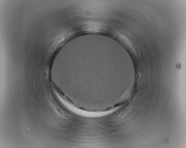 X0000091930596200709121600