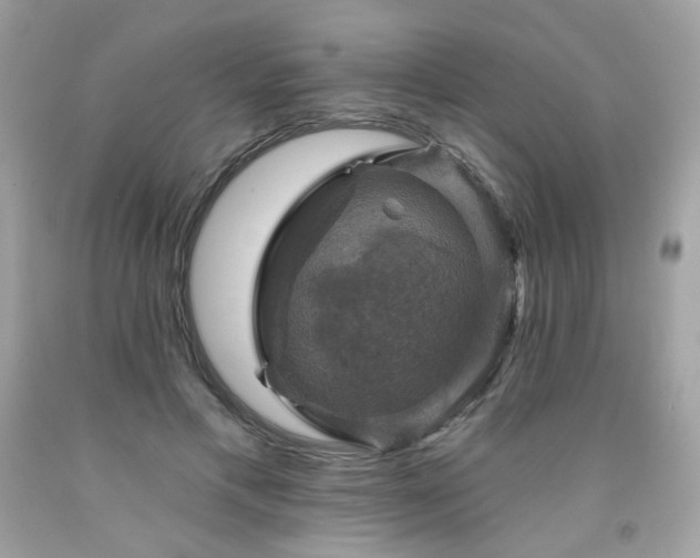 X0000091930597200709121600