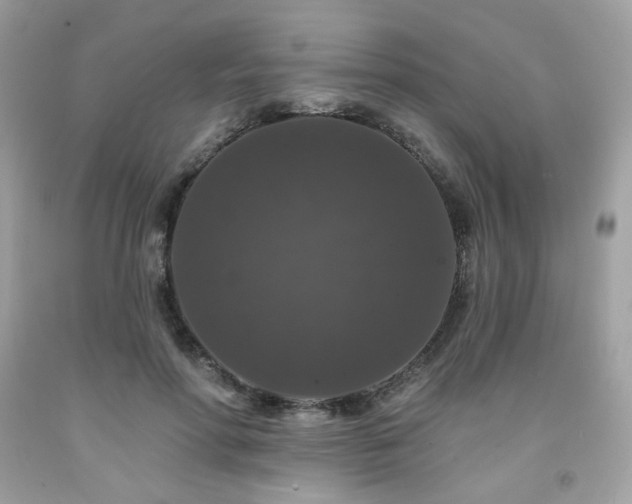 X0000091930598200709121600