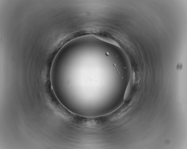 X0000091930600200709121600