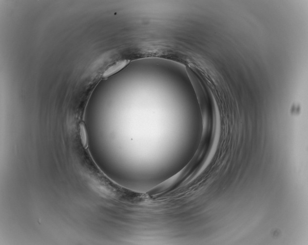 X0000091930601200709121600