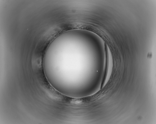 X0000091930602200709121600