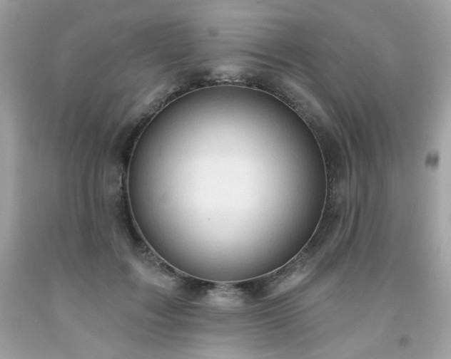 X0000091930603200709121600