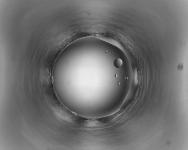 X0000091930605200709121600