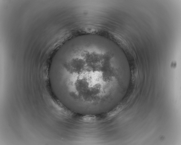 X0000091930606200709121600