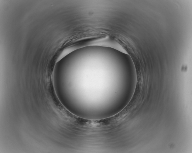 X0000091930607200709121600
