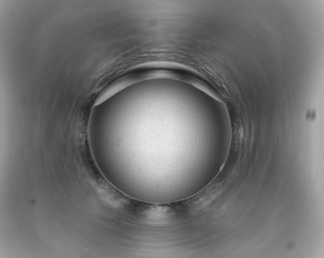 X0000091930609200709121600