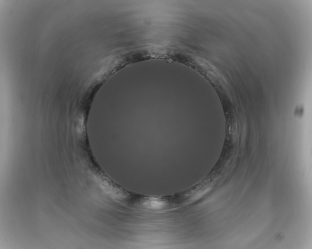 X0000091930610200709121600