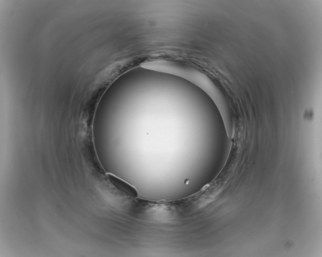 X0000091930611200709121600