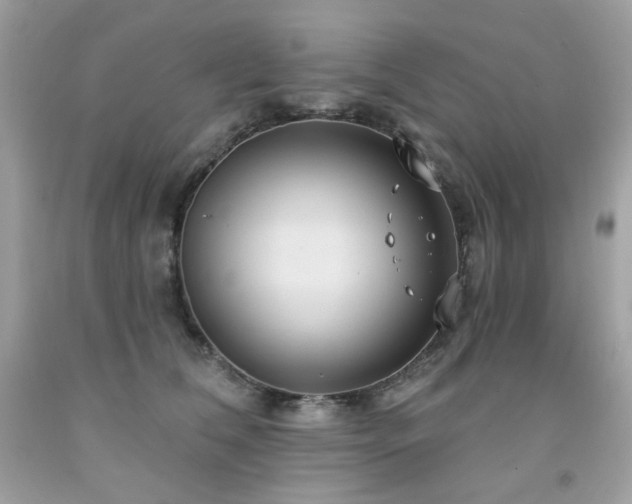 X0000091930612200709121600