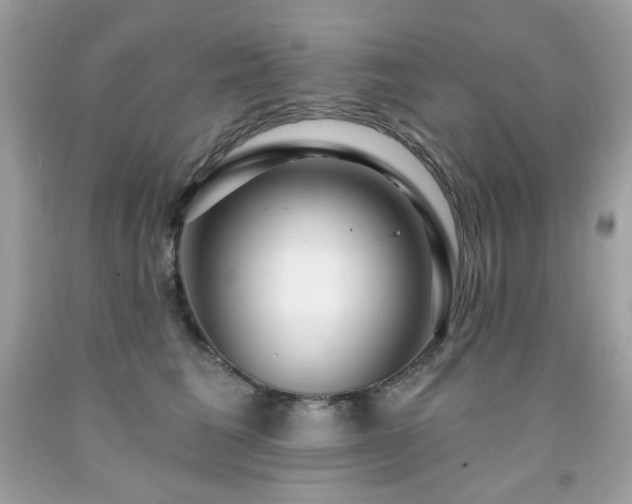 X0000091930613200709121600