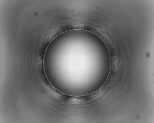 X0000091930614200709121600