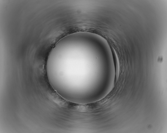 X0000091930615200709121600