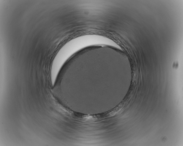 X0000091930616200709121600