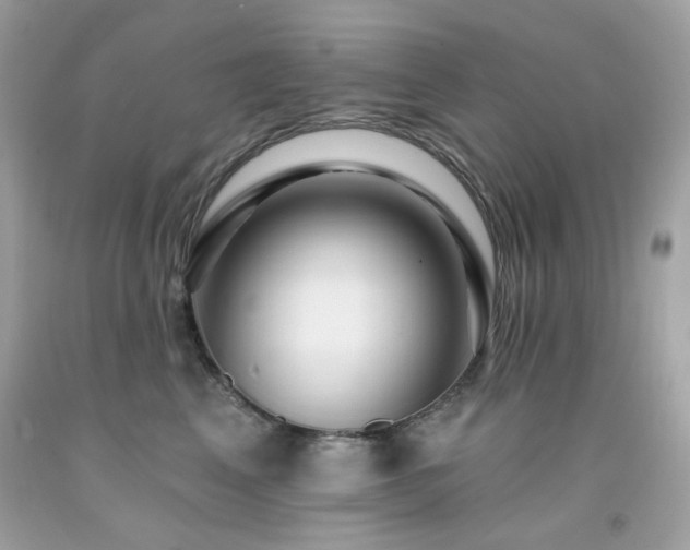 X0000091930617200709121600