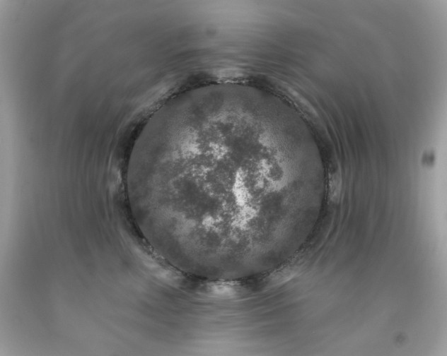 X0000091930618200709121600