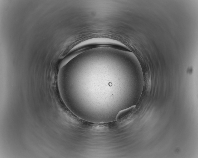 X0000091930619200709121600