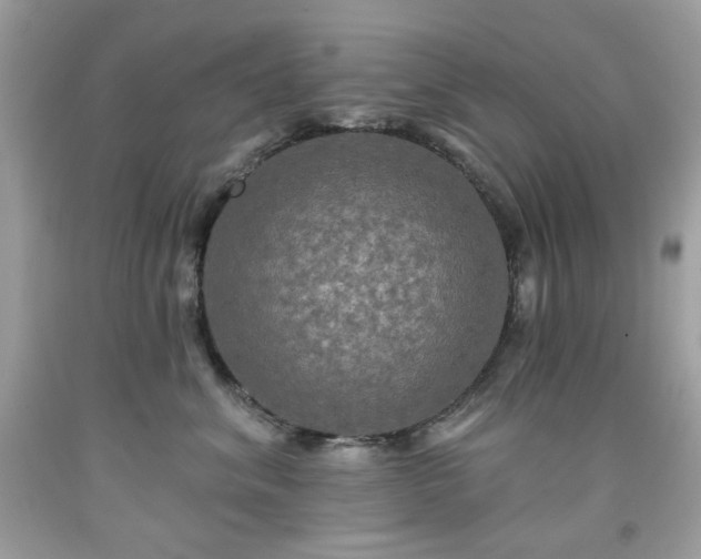 X0000091930620200709121600